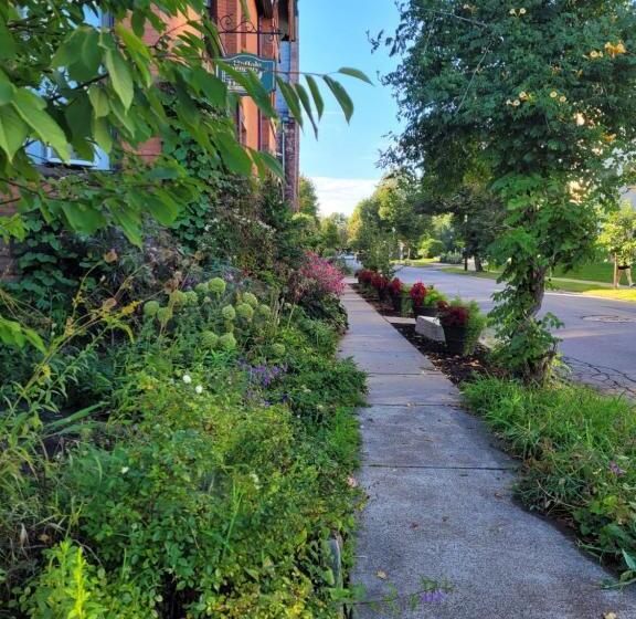 مبيت وإفطار Buffalo Harmony House