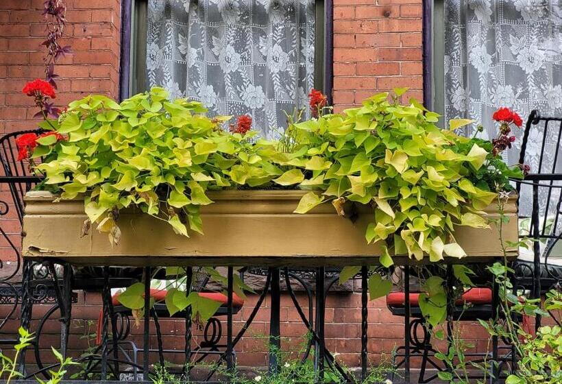 مبيت وإفطار Buffalo Harmony House