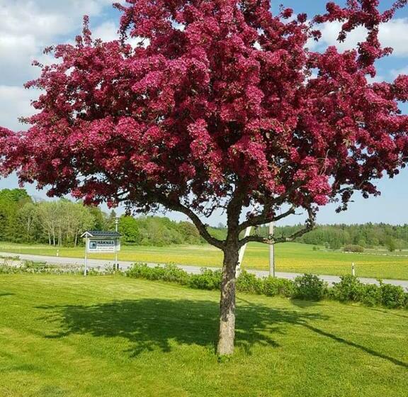 Håknäs Vandrarhem