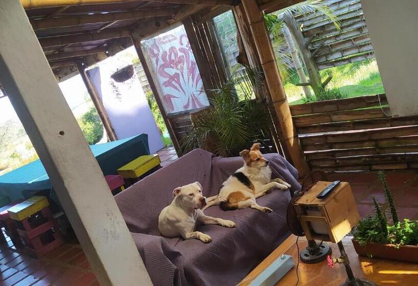 فندق Chalet De Fantasía  W Factory