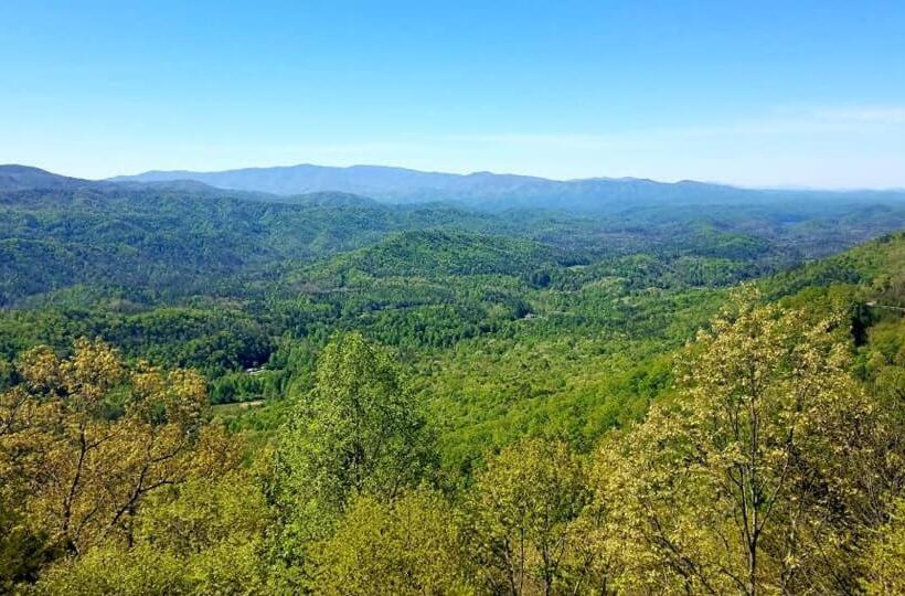 فندق Dragon City