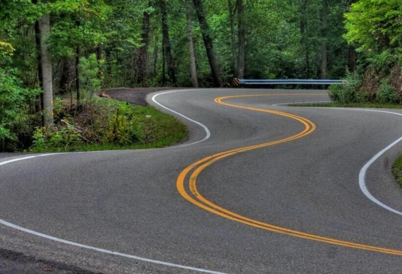 فندق Dragon City