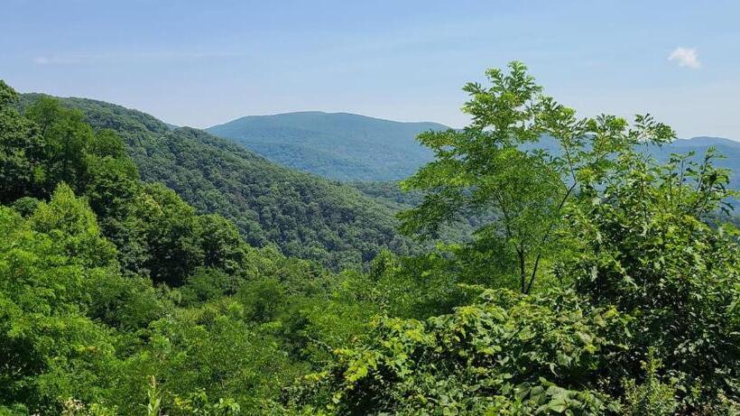 فندق Dragon City