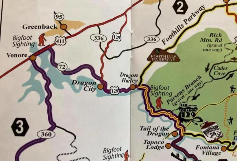 فندق Dragon City