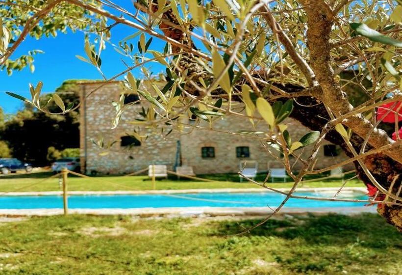 Отель Exclusive Pool Open All Year Spoleto Biofarm Slps 8 Village Shops, Bar1 Km 7