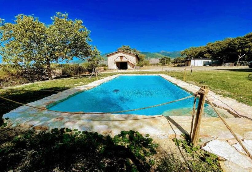 Отель Exclusive Pool Open All Year Spoleto Biofarm Slps 8 Village Shops, Bar1 Km 7