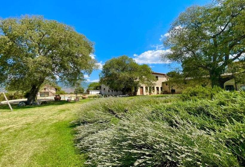 Отель Exclusive Pool Open All Year Spoleto Biofarm Slps 8 Village Shops, Bar1 Km 7