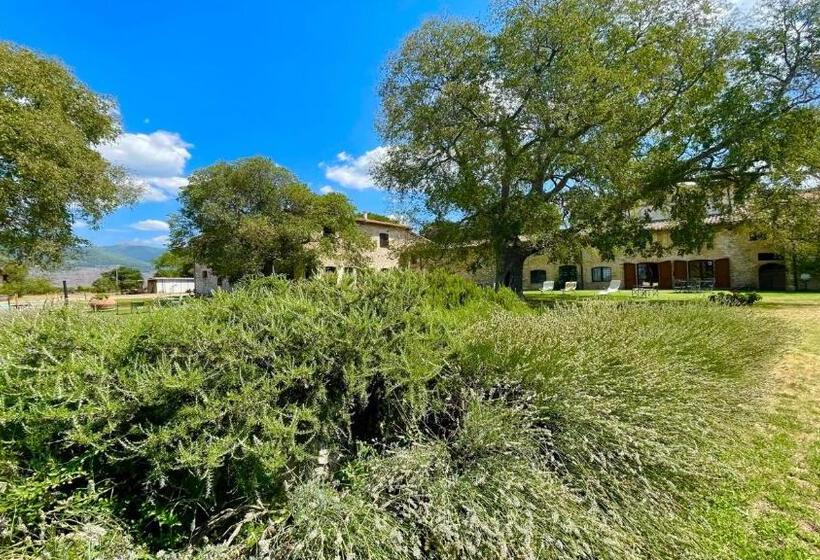 Отель Exclusive Pool Open All Year Spoleto Biofarm Slps 8 Village Shops, Bar1 Km 7