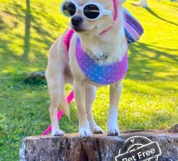 ホテル Fazenda E Marina Monteleone