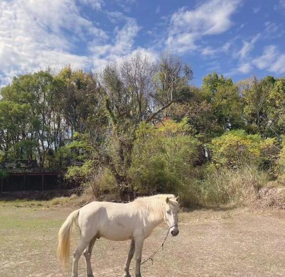 فندق Longhushan Hanxiangju Homestay