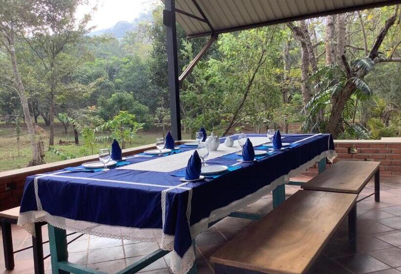 호텔 Mind Body And Soul