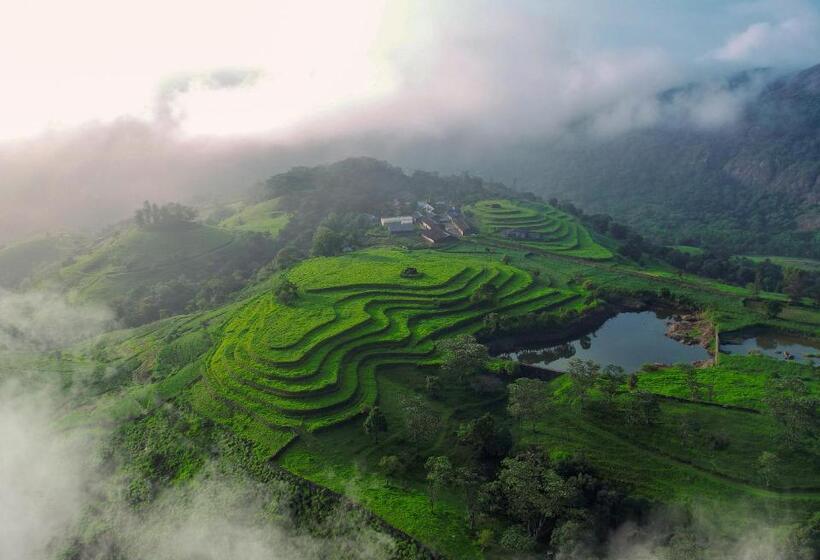 בית מלון כפרי Treehouse Tabor Hills Resort Vagamon