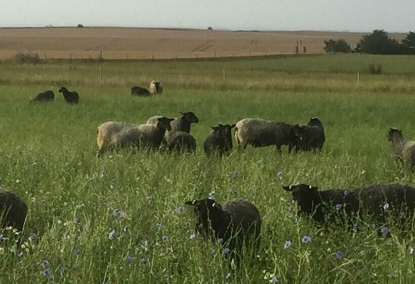 Munkagården Bed & Breakfast