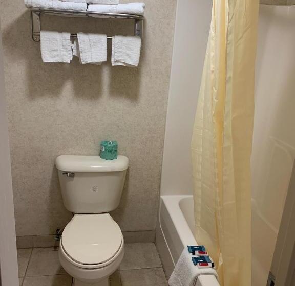 فندق صغير Coachman S Inn Motel