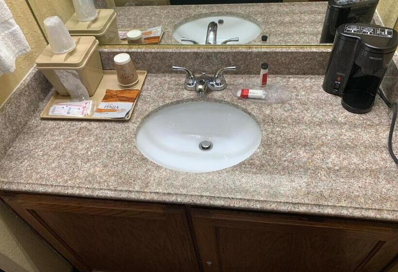 فندق صغير Coachman S Inn Motel