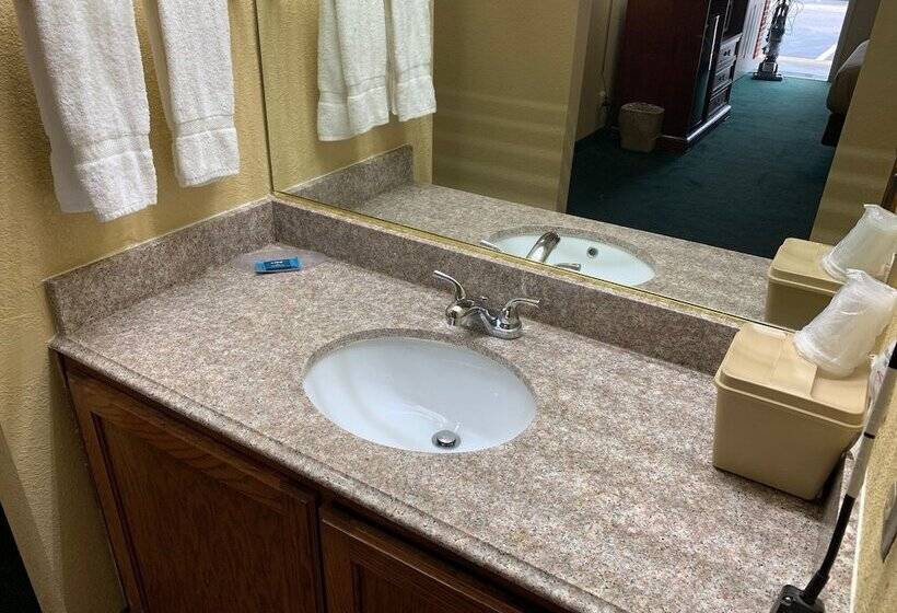 فندق صغير Coachman S Inn Motel