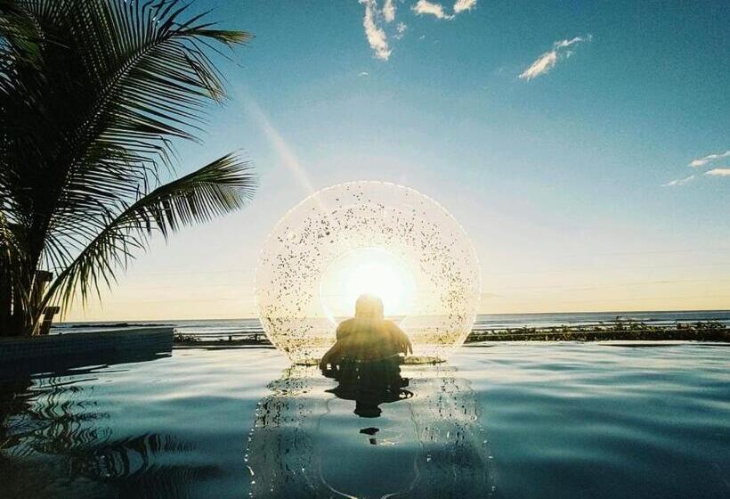 호텔 Alive Beach House