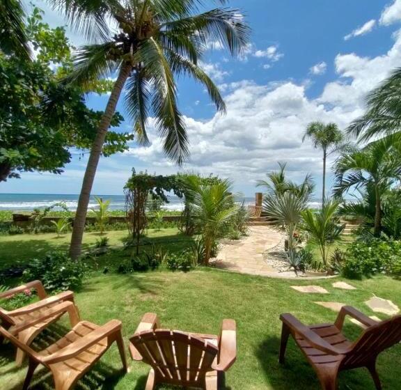 호텔 Alive Beach House