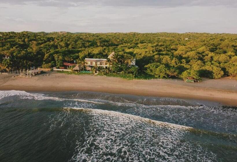 호텔 Alive Beach House