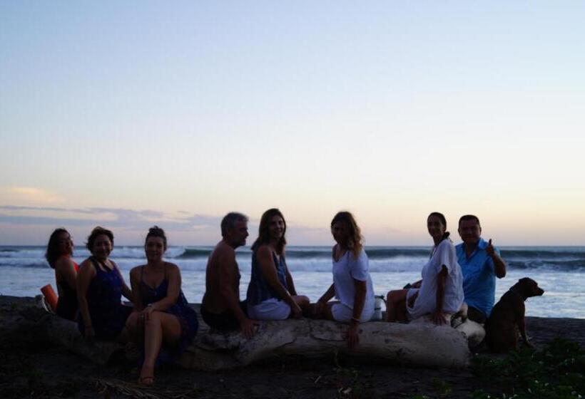 호텔 Alive Beach House