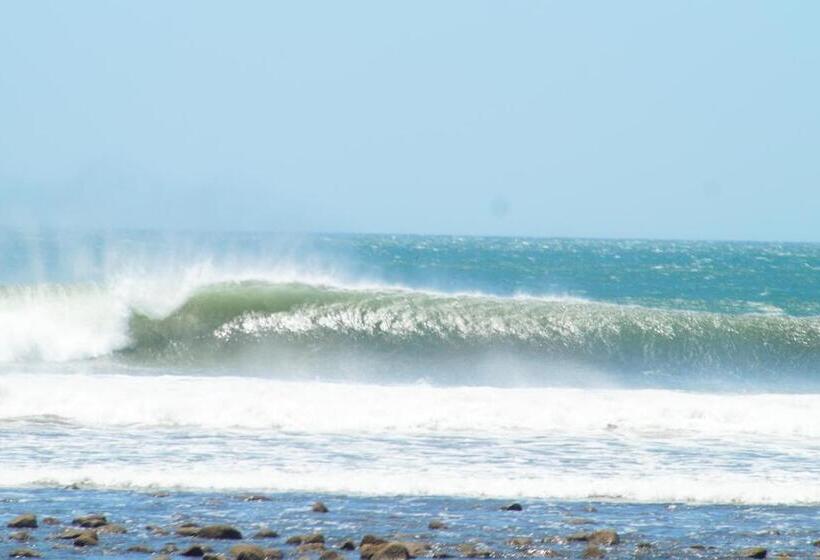 호텔 Alive Beach House