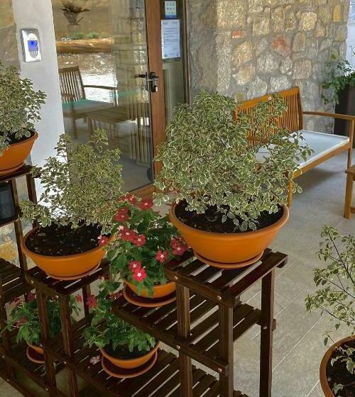 فندق Casa Del Pastore Rosello