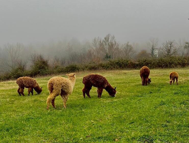 בית מלון כפרי Casa Del Pastore Rosello