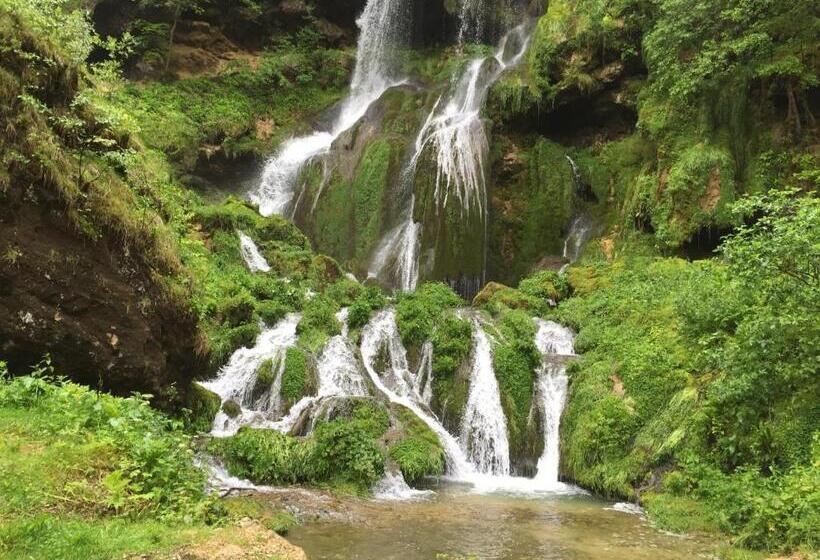 Отель Hôtel D’artiste