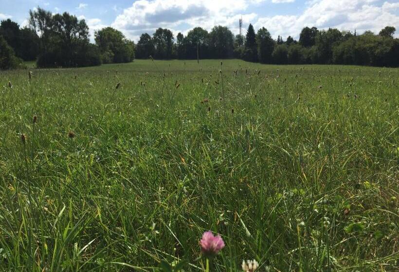 Отель Hôtel D’artiste