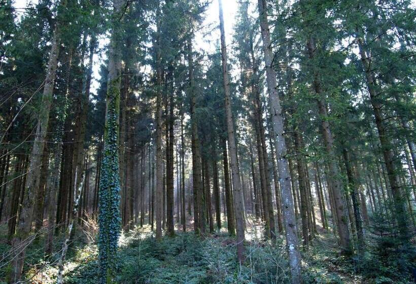 Отель Hôtel D’artiste