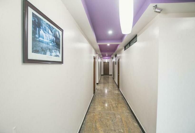 فندق Illusion Inn