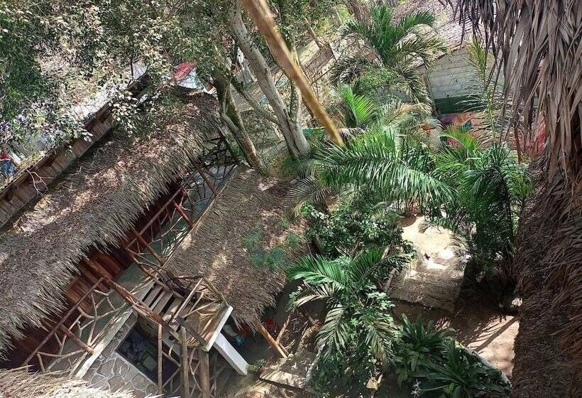 ホテル Nunkai La Punta   Hostel