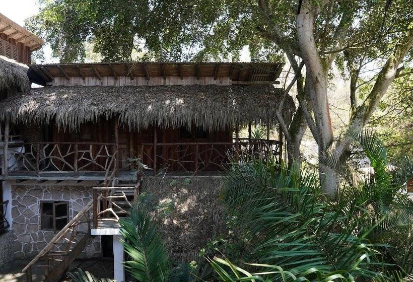 ホテル Nunkai La Punta   Hostel