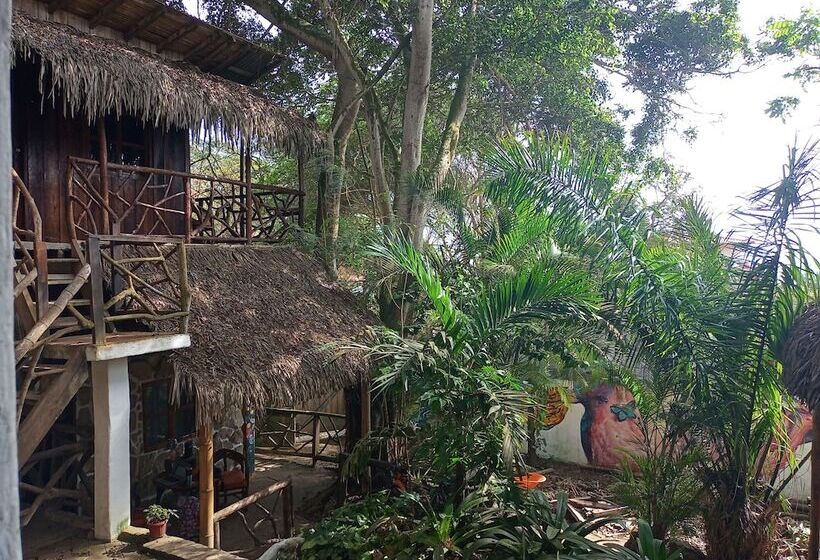 ホテル Nunkai La Punta   Hostel