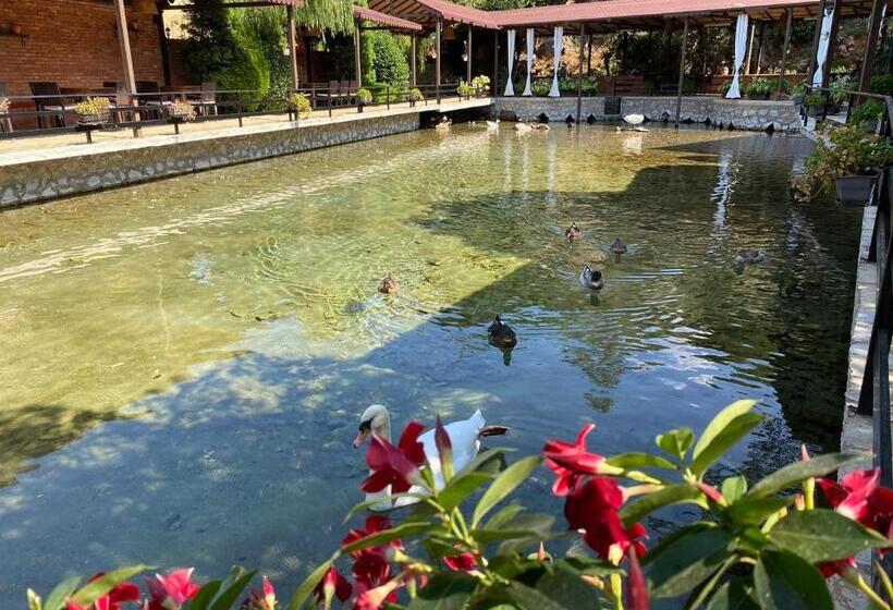 בית מלון כפרי Rritja E Koranit