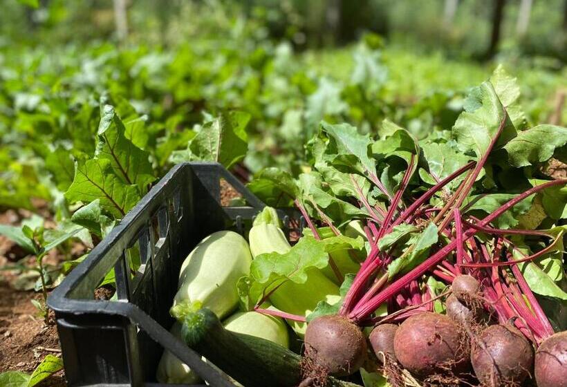 בית מלון כפרי Rritja E Koranit