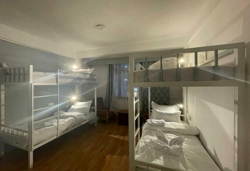 Mellow Fellow Hostel