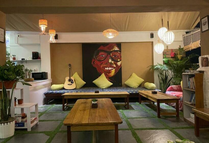 Mellow Fellow Hostel