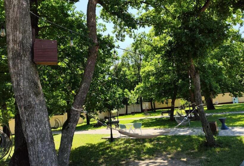 ペンション Curtea Domneasca