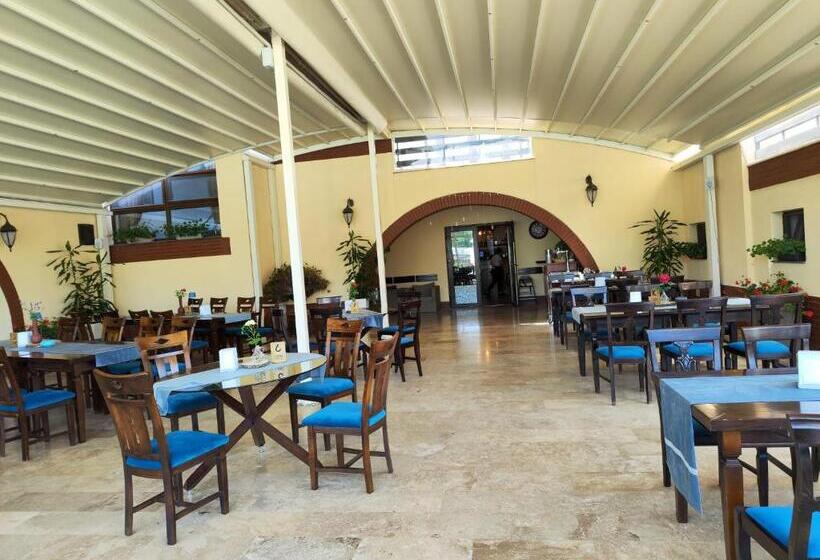 ペンション Curtea Domneasca