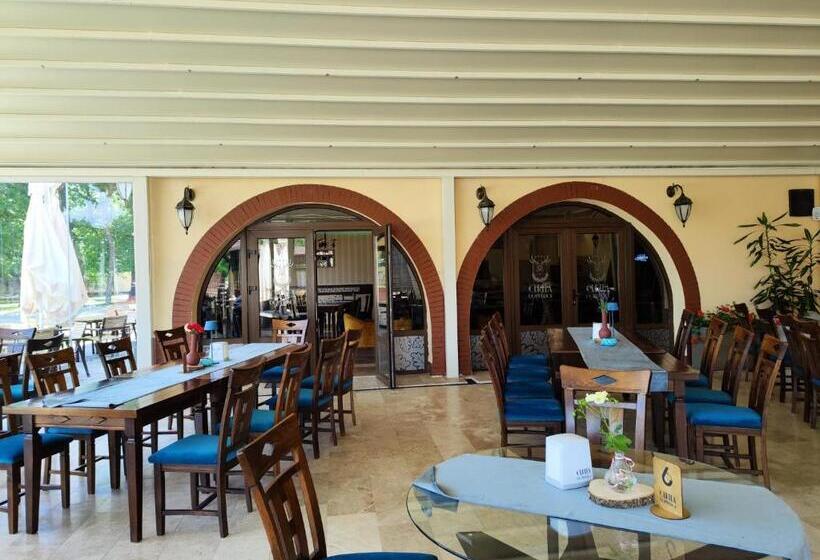 ペンション Curtea Domneasca