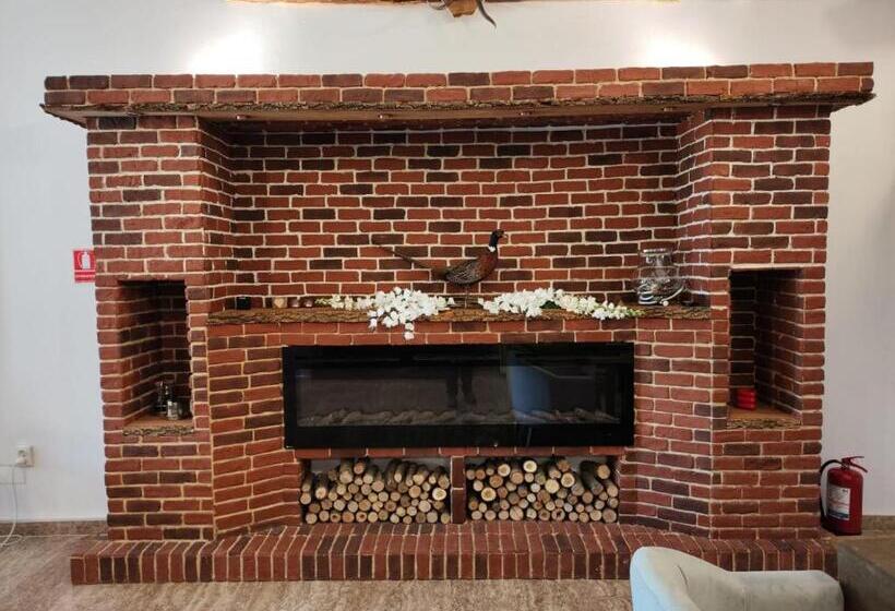 ペンション Curtea Domneasca