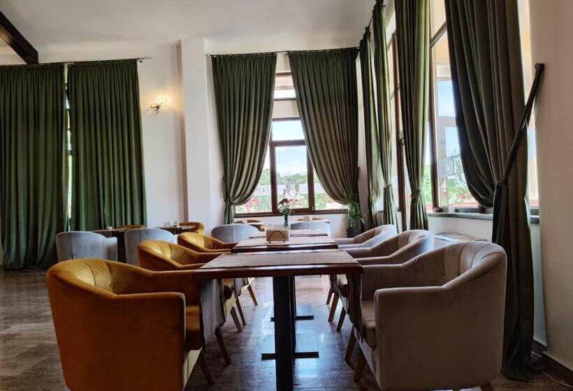 ペンション Curtea Domneasca