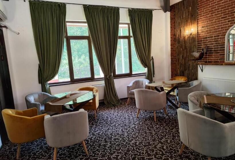 ペンション Curtea Domneasca