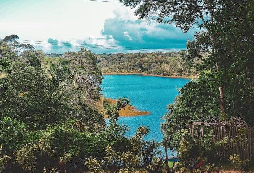 Pension (Hôtel basse catégorie) Pousada Bellatrix Ecolodge   Reserva De Sapiranga   Praia Do Forte   Bahia