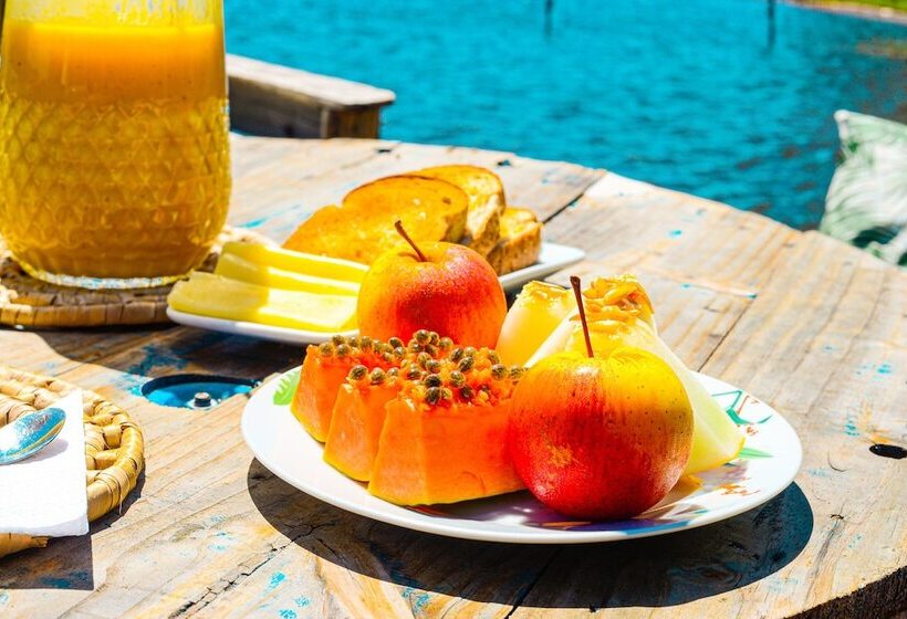 Pension (Hôtel basse catégorie) Pousada Bellatrix Ecolodge   Reserva De Sapiranga   Praia Do Forte   Bahia