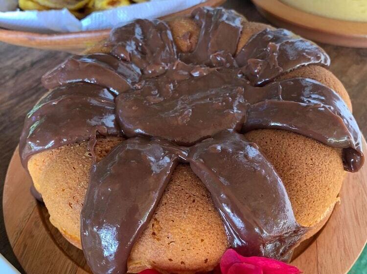 Pension (Hôtel basse catégorie) Pousada Bellatrix Ecolodge   Reserva De Sapiranga   Praia Do Forte   Bahia