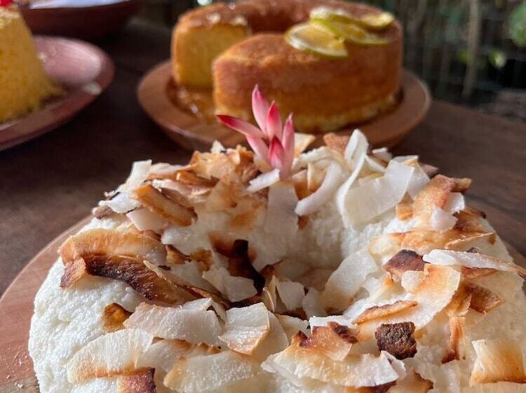 Pension (Hôtel basse catégorie) Pousada Bellatrix Ecolodge   Reserva De Sapiranga   Praia Do Forte   Bahia