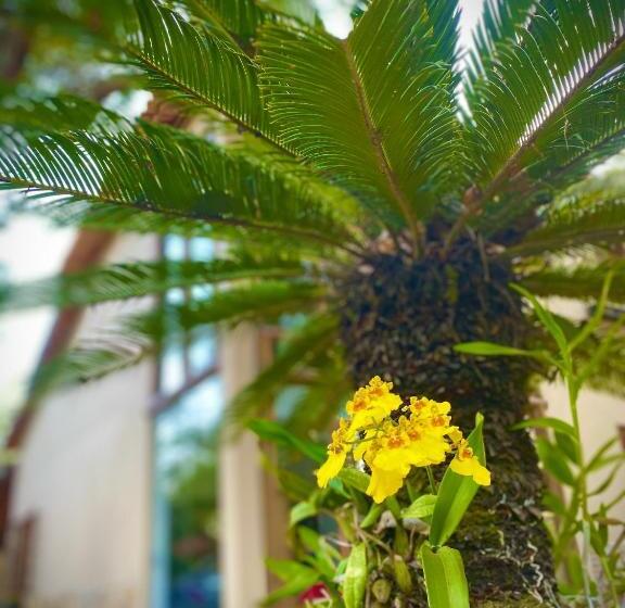 Пансион Pousada Do Bosque