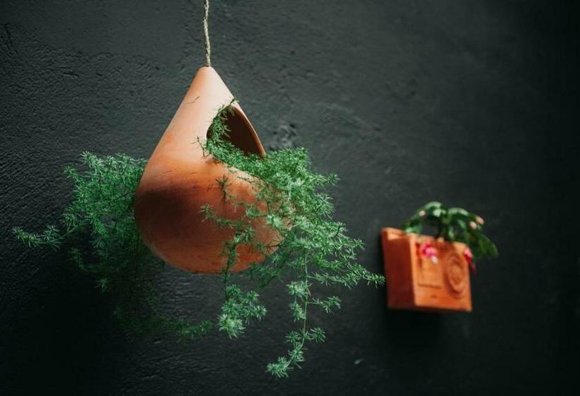 膳宿费 Xanticohostal